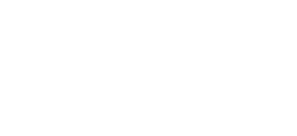 logo festivalfundraising 2025 RGB205BRecuperato5D 03